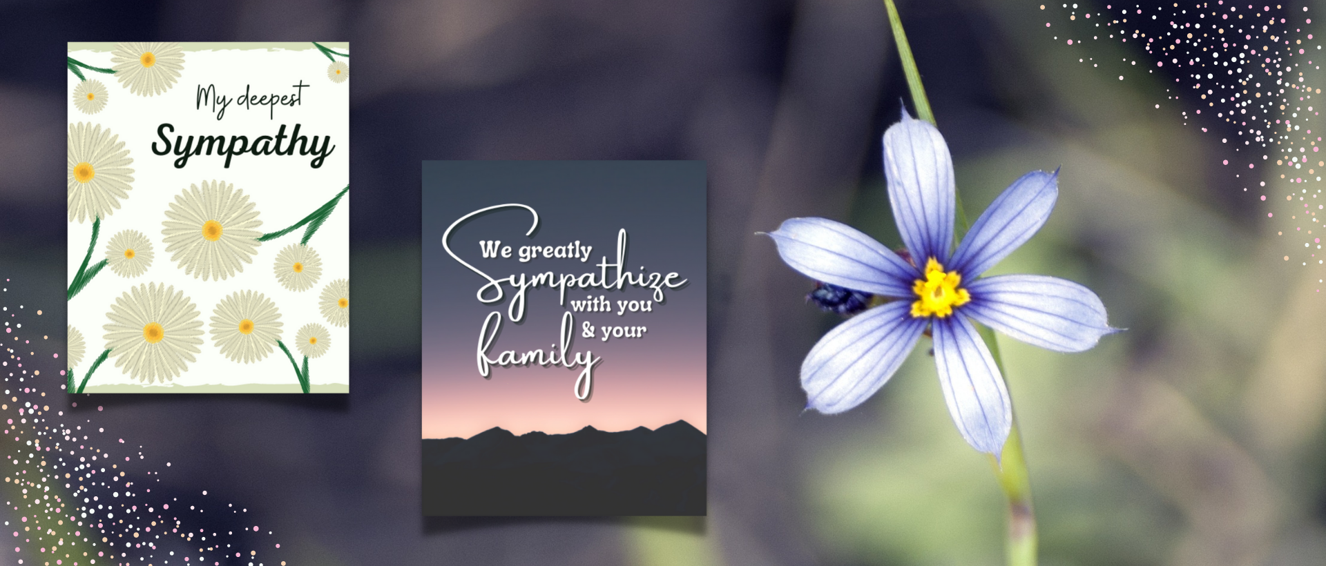 40 Virtual Sympathy Card Messages From Group Free Cards Included