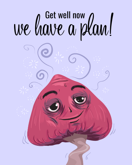 a plan