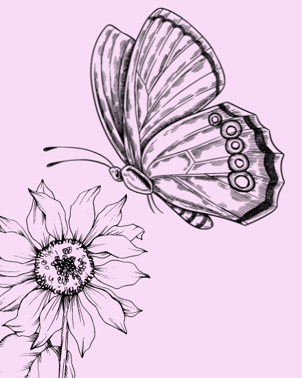 create free Sunflower group card