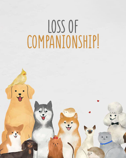 Companionship virtual Pet Sympathy card