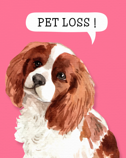 Pet Loss virtual Pet Sympathy card