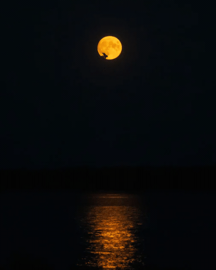 Moonlight On Water virtual Mid Autumn Festival card