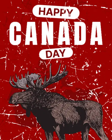 Bold Moose Pride virtual Canada Day card