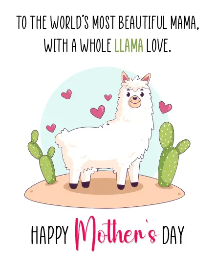 Whole Llama Love